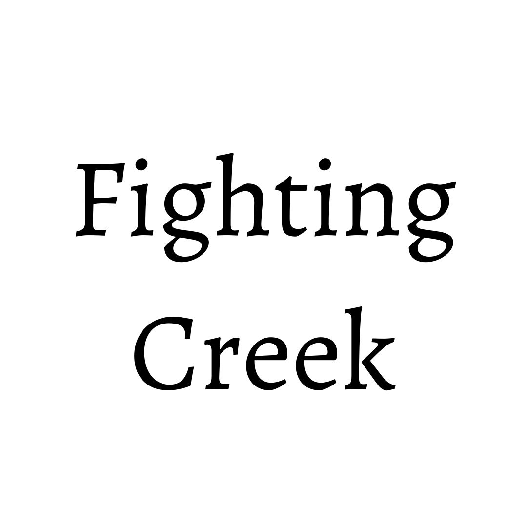 Adirondack Furniture Bushey's Furniture